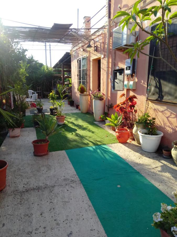 B B Casa Vacanze Il Pino Di Pino Ласкарі Екстер'єр фото