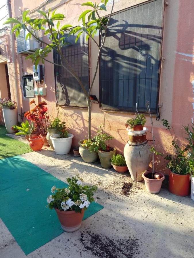 B B Casa Vacanze Il Pino Di Pino Ласкарі Екстер'єр фото